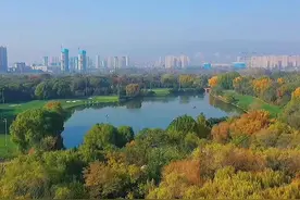 悟秋之美，享秋之韵！太原森林公园秋色正浓图片