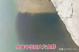 鱼多了也烦恼！重庆出现“球状”罗非鱼群，钓友担心其破坏生态图片
