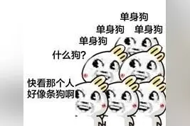 不经同意偷看对象手机合不合法？彩礼能要回吗？权威解答来了图片