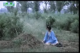 黄梅戏电影《孟姜女》杨俊主演图片