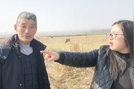 现在养牛效益好吗？72岁大爷养五头牛，说出一年的收入，你信吗？视频封面