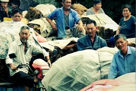 中国烟草史（二）图片