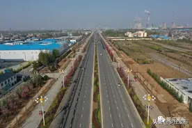 盛世花开！罗庄这条景观大道你爱了吗？图片