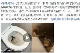 1.6米！男子上厕所下体被蟒蛇咬伤 蛇群异常行为，暗示了什么？图片