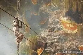 喜马拉雅山有世上最大蜂巢“喜马拉雅悬崖蜂巢”图片