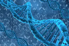 薛定谔：生命以负熵为生图片