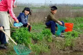 知青往事：难忘，在农村插队时，我在小沟小河里钓龙虾的趣事图片
