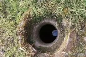 枯井突然有水，男子上前查看，一条巨蟒冲了出来图片