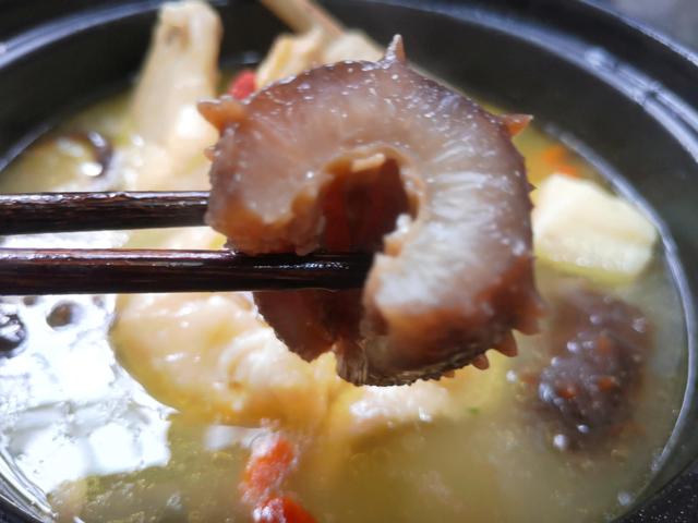 海参花胶炖鸡汤的做法大全 2026年海参花胶炖鸡汤的做法大全视频