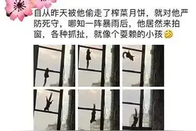 “昨天刚被它偷！”家里屡次进“贼”，女主人抓到真凶却很无奈图片