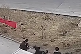 男子拒扫绿码殴打门卫父子：用棒球棍致肋骨骨折3根图片