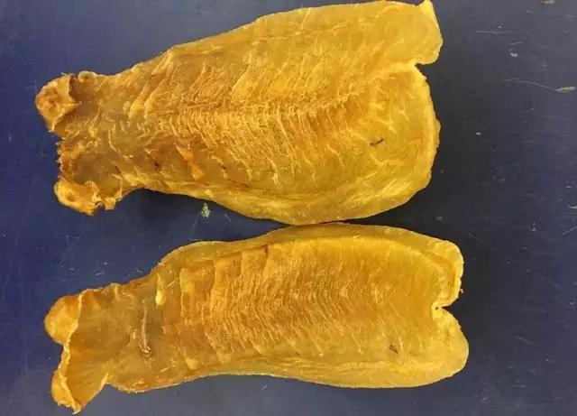 红鸡赤嘴鳘鱼胶不能碰 2026年红鸡赤嘴鱼胶的功效和作用