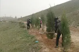 变了，变了！峰峰的矸石山大变样了！图片
