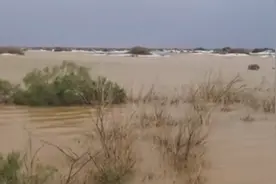 塔克拉玛干沙漠发洪水了？沙漠也会洪灾？有可能成为绿洲吗？图片