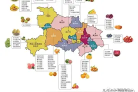 湖北水果地图图片