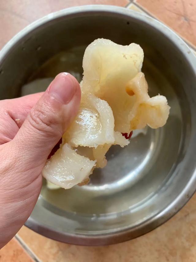 蝴蝶胶怎么泡发 2026年蝴蝶胶怎么泡发快