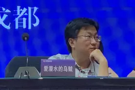 中国网络文学影响力榜发布 四川两位作家上榜！图片