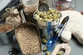 你知道酿造精酿啤酒需要什么原料吗？到哪找供货商图片