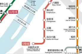 中医药站、白沙六路站、光霞站、张家湾站，站牌装完，通车在即图片