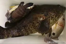 掌握海钓技巧，新手也能迅速爆护图片