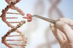 为什么中国科学家联名抵制基因编辑？这部电影会告诉你答案！视频封面