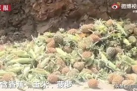 火遍全球“野象旅行团”，喝酒砸车打小猪，吓得狗吃不下饭图片