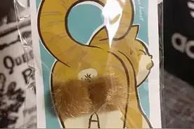绝育之后，猫的蛋蛋都去哪了？图片