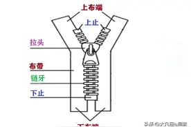 细看拉链：拉链结构-拉头-按牙形分类拉链图片