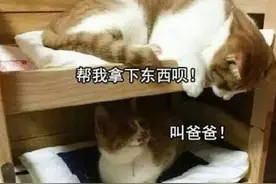 大学宿舍，一个“藏龙卧虎”的地方：室友除了学习，啥都会图片