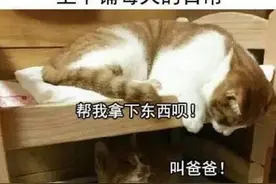 大学宿舍，一个“藏龙卧虎”的地方：室友除了学习，啥都会图片