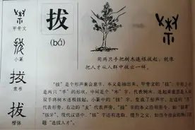 一字方圆之“拔”：拔苗助长，适得其反图片