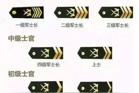 士官干到几级合适？图片