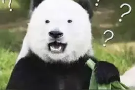 一外卖小哥竟在电梯里小便！顾客的餐盒就放在脚边…监控视频曝光图片