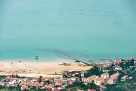 继青岛农业大学后，又一所高校从烟台迁往青岛图片