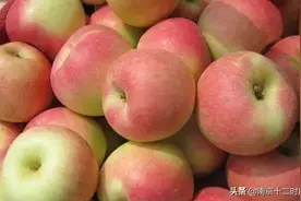 生态香甜山西嘎啦苹果，论一个苹果的自我修养图片