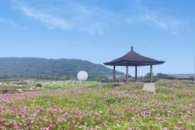无锡三日休闲度假之旅-行程攻略图片