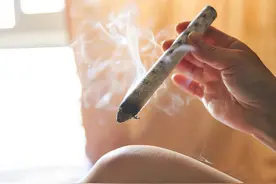 中医养生｜艾灸图片