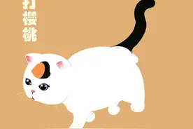 古代猫咪花色名称大全，中国风韵十足，你家逆子叫啥名？图片
