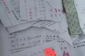 寒假作业，父母请保持理智，千万不要撕了孩子的寒假作业图片