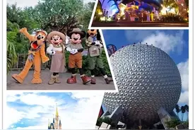 北美自驾奥兰多第4天--Orlando（2019版）图片