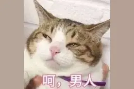 沙雕表情包~算了，我心态超好图片