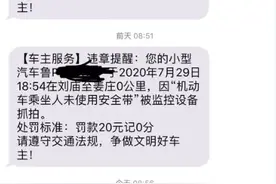 聊城阳谷凤翔路口开始抓拍副驾驶安全带违章情况！已有多人被罚图片