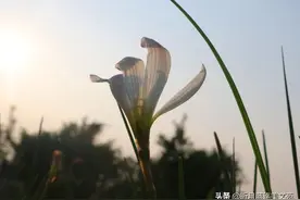 深爱过你，此生不曾后悔图片