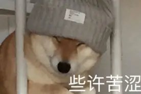 考研英语和六级哪个难？图片
