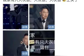 陈小春那么爱张柏芝，为什么还是娶了应采儿图片