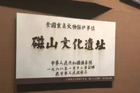 又一重大发现，原来它也起源于中国!图片