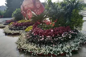 淮南第六届文化产业博览会图片