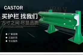 常吃的绿色健康食品图片