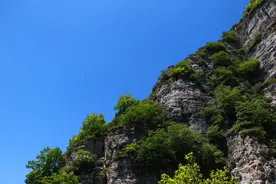可为与有为 （2021高考作文 全国甲卷）图片