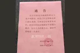 山中出现不明野兽……浙江一村庄发通告，有村民报告牛被咬鸡被吃，村里临时加装监控已连盯四天图片